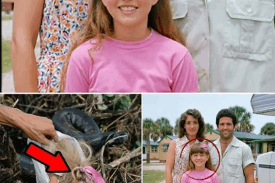 SHOCK: Girl Vanished in Everglades in 1986 — Years Later Hunter Finds HORROR in Snake Den…