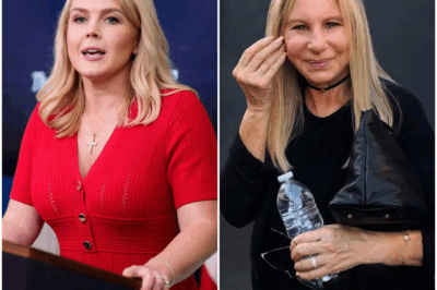 “YOU WERE BEATEN — PAY NOW!”: Barbra Streisand’s $50 Million Lawsuit After Shocking Live TV Confrontation
