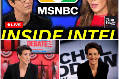 Comcast’s Secret Divorce From Rachel Maddow: The Explosive Spin-Off Nobody Saw Coming