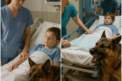 I have been a nurse for more than ten years. In that time, I have witnessed many heartbreaking, difficult, and even incomprehensible situations. I thought I had seen it all. But one day, a German Shepherd named Rex showed me something that shook me to my very core.