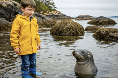 When Thomas arrived at the coast of Nova Scotia, the last thing he expected was to learn something from the sea. She was six years old, chronic asthma and a deep fear of water. His mother, Emily, had taken him there to get him away from the city and give him fresh air, even though she herself didn’t know how to deal with the fear the boy was feeling.