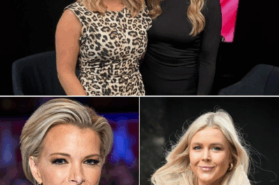 “The Day The View Shook: Inside the Broadcast That Split Daytime Television in Two”