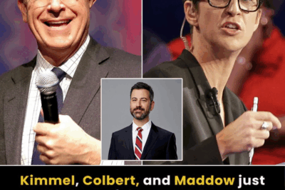 Maddow, Colbert, and Kimmel Shake the Media World With Surprise Independent Newsroom Launch