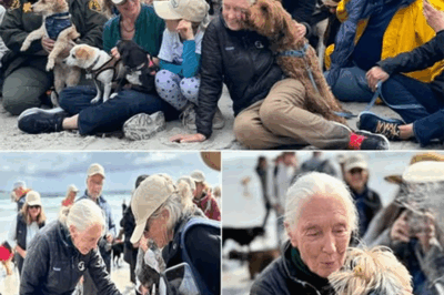 The Secret Celebration That Brought Jane Goodall to Tears