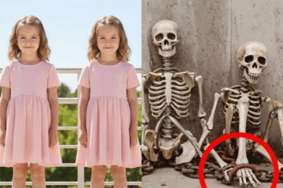 Twins disappeared from Disneyland in 1985 — 28 years later, a dark secret resurfaced-NY