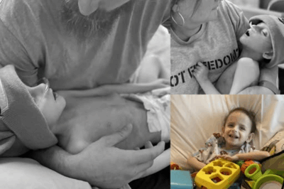 Little Wings, Big Courage — Alexander’s Short but Beautiful Life.