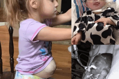 From a Fragile Beginning to a Fierce Heart: The Miracle of Little Lily.