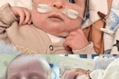 “Adaś’s Last Hope: A Critical Surgery to Save His Life”.