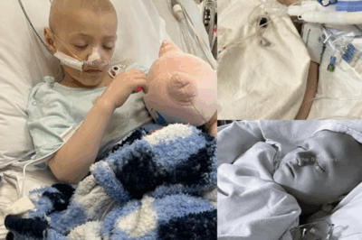 When Medicine Stops Working: A Young Boy’s Battle Against Relentless Cancer.
