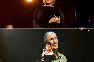 Adele’s Unforgettable O₂ Arena Moment: A Tribute to Jane Goodall That Stopped Time