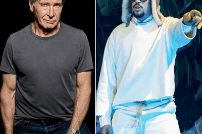 Harrison Ford Steps Into the Midst of the Storm — And Stuns Critics with a Single Truth Bomb
