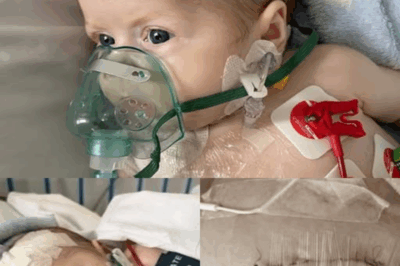 “Please Help Save Ewelinka’s Life – A Two-Year-Old Fighting Stage IV Cancer”.