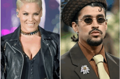 🎶 The Night P!nk Turned a Joke Into a Global Anthem: How One Sentence United Millions