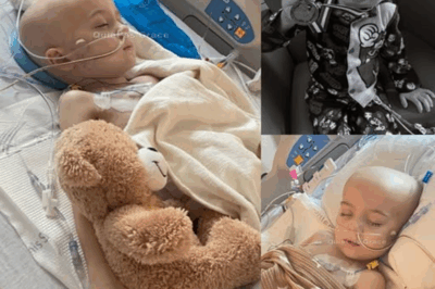 He Fought With a Smile — The Brave Journey of Tyson.