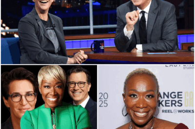 “Truth Over Noise”: Inside the Secret Brooklyn Warehouse Where Rachel Maddow, Stephen Colbert, and Joy Reid Ignite a Rebel Newsroom