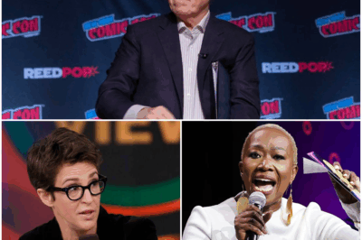 SILENT BOMB DROPPED: Maddow, Colbert & Reid Secretly Launch ‘NO BOSSES’ Newsroom That Just Rocked Cable Media!
