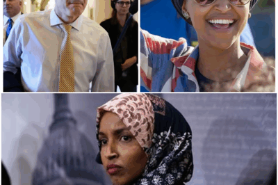 CONSTITUTIONAL CRISIS LOOMS: Jim Jordan’s Shock Bill Bans ALL Foreign-Born From US Congress and White House