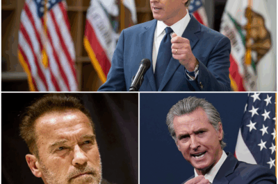 ICY LOOK! Newsom’s 10-Word SLAM Leaves Schwarzenegger STUNNED on Live TV!