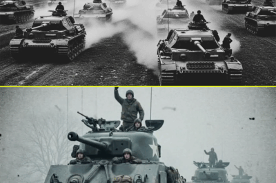 How an Invisible Change Inside the “Doomed” Sherman Tank Turned It from a Burning Coffin into a Battlefield Survivor and Left German Commanders in 1944 Completely Confused by Ammunition That Suddenly Refused to Explode