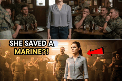 They Mocked the Quiet Navy Sailor After a Marine Pushed Past Her — Until a Highly Decorated SEAL Master Chief Suddenly Saluted Her, Revealing a Hidden Status That Changed the Entire Base Overnight