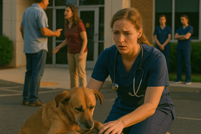 S-The Night a Crying Dog Guarded a Cheap Nylon Bag and Forced a Small-Town Vet to Tear a Family Apart to Save Them