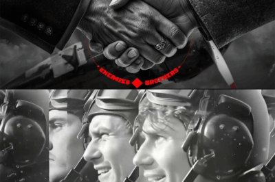 How a Downed American Airman Survived Against All Odds