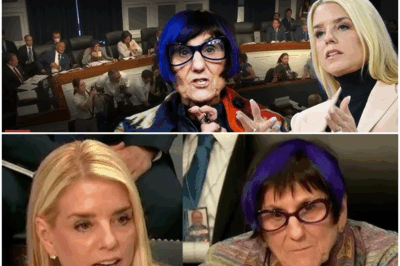 DOJ Funding Fiasco: DeLauro EXPOSES Massive ATF Cuts, Causing Pam Bondi’s Committee MELTDOWN”