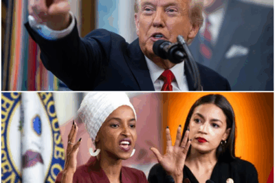 BREAKING: Citizenship Security VANISHES Overnight—Trump Revokes Protections for Tens of Thousands of Somalis, Causing Legal Chaos