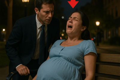 Abandoned by Her Family When They Learned of the Pregnancy — A Millionaire Sees Her and Changes Everything