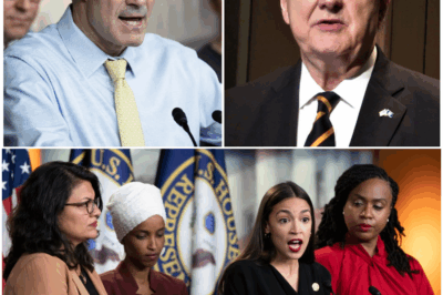 NUCLEAR FALLOUT: Jordan & Kennedy Declare WAR on Dual Citizenship, Threatening 14 Lawmakers’ Seats