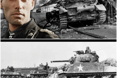 TOTAL PANZER COLLAPSE! German Commander Watched as 50 Shermans Annihilated His Division in Just 3 Hours!