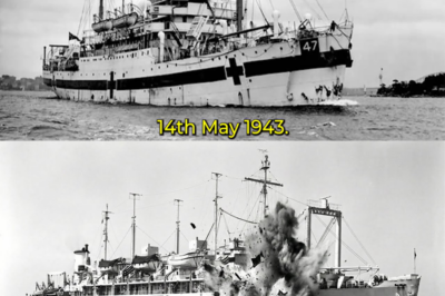 “Against the Moonlit Waves: How a Young Nurse Survived the Sinking of the Centaur and Guided Her Patients Through a Night That Tried to Silence Every Last Hope”