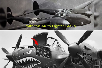 When Seven Enemy Fighters Cornered a Lone P-38 Over the Pacific, His Daring Split-Second Decision Turned a Desperate Fight Into a Legend That Left Every Pilot Speechless