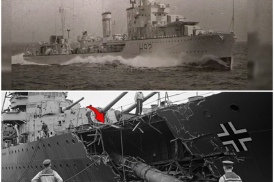 The Unstoppable Ghost Ship: How One Tiny Destroyer Became Germany’s Unsinkable Nightmare