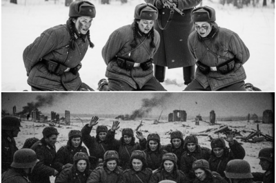 “We Were Treated Like Animals,” They Whispered After Capture—Until a Hidden Sketchbook, a Missing Red Cross Record, and a German Officer’s Midnight Order Exposed What Happened to Soviet Female Snipers No One Wanted Written Down for Decades Inside That Camp