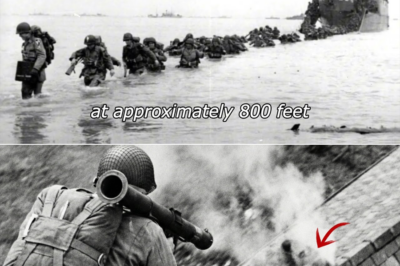 A Daring Leap Into Fire: How One Young American Paratrooper Turned a Crumbling French Chimney Into a Secret Weapon That Crippled an Entire Enemy Garrison and Saved the Brothers Who Trusted Him With Their Lives