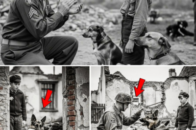 The Night Watchman’s Most Puzzling Case