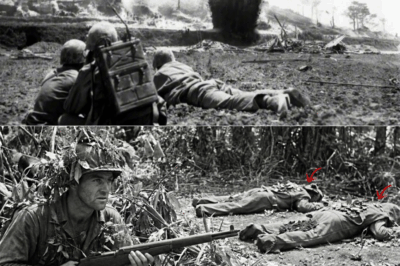 How One Exhausted U.S. Rifleman Used a Desperate “Two-Case Trick” in a Jungle Foxhole to Stop a Night Assault, Kill Dozens of Enemy Soldiers, and Save Eight Hundred Trapped Americans From Certain Death