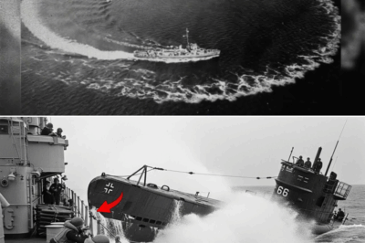 German sailors watched in shock as an American destroyer turned straight toward them and slammed into their hull — and in the chaos that followed, thirty-six men fought hand-to-hand armed only with coffee mugs.