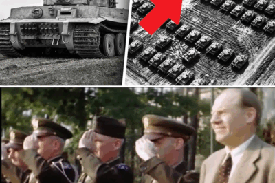 Decades After World War II, a Young Mechanic Uncovers the Hidden Fate of the Last Tiger Tanks, and One Discovery Sparks a Dangerous Fight Over Truth, Greed, and Who Really Gets to Own History