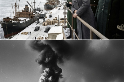 What Stalin Finally Whispered in the Kremlin War Room When America’s First Arctic Convoy Emerged from the Mist and Changed the Fate of His Bleeding Eastern Front