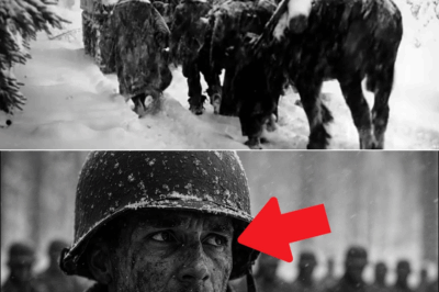 Alone in a French Farmhouse, One Exhausted U.S. Ranger Faced Two Hundred Enemy Soldiers – What He Did with a Dead Radio, a Pocketful of Flares, and Pure Nerve Left Both Sides Staring in Disbelief