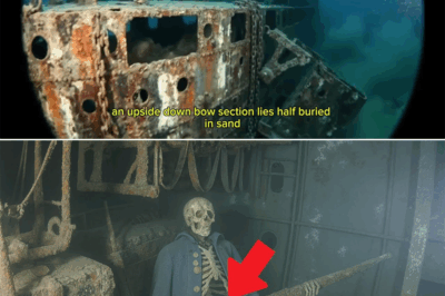 When an Ammunition Ship Vanished in a Flash Over Guadalcanal, 250 Men Died in Seconds—Decades Later, One Sailor’s Hidden Journal Reignited the Fierce Debate Over What Really Blew Up USS Serpens and Why No One Remembered