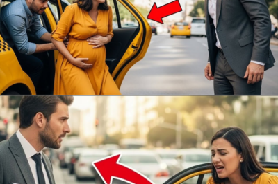 The Night a Reluctant Millionaire Stopped His Car for a Pregnant Stranger and Discovered the One Decision That Would Rewrite Both of Their Futures Forever