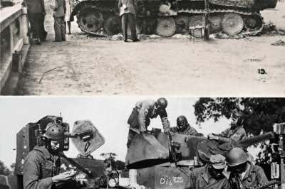 German Commanders Mocked the So-Called “Inferior” Black Panthers, but in 183 Unbroken Days Their Supposedly Disposable Tank Battalion Drove Through Fire, Liberated Thirty Cities, and Proved Every Doubter in Europe Spectacularly, Permanently Wrong