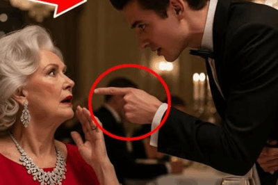 He Whispered, “That Necklace Was My Mother’s,” and the Rooftop Restaurant Fell Silent—What the Waiter Revealed About the Millionaire Who Looked Like Him Threatened to Tear Apart an Entire Fortune