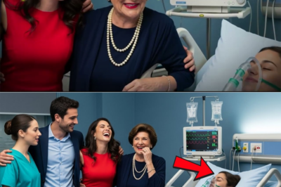 “They Celebrated Her Death Too Soon” — When a Pregnant Wife Was Declared Gone, the Doctor’s Whisper About Twins Turned Greed Into Shock and Silence