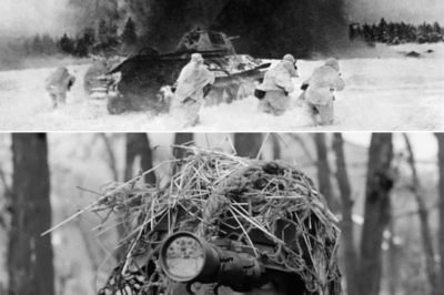 They Laughed When a Barefoot Farm Boy Claimed He Could Hit a Man Over Half a Mile Away—But His Quiet 1,100-Meter Shots Stopped Soviet Attacks, Saved Hundreds of Comrades, and Forced Generals to Rethink What a Single Rifle Could Do Forever