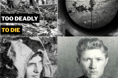 How Eleven WWII Marksmen Survived the Impossible — The Untold Story of Skill, Patience, Weather, Luck, and Human Instinct That Kept History’s Most Feared Sharpshooters Alive When Everyone Expected Them to Fall