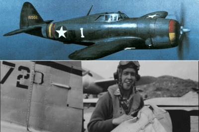 Engineers Scoffed That the P-47 Thunderbolt Was Too Fat, Too Slow, and Too Heavy to Dogfight—Then Its Pilots Turned It Into a Diving Monster That Crushed 3,752 Luftwaffe Fighters and Saved Countless Crews